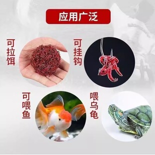 �t�x���D�r��t�x�ش�̖���w�a�~�D�ڿ����D��Cͨ���D�O�ߵ����l