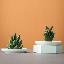 �S��ֱ�N�羳�J�C�朽�ָ��Pչʾ�܄������ռ{�бP��ˇƷ