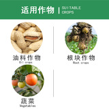 Solebor American Borax Group, чистый бор, микроэлемент, фруктовое дерево и овощ, увеличивает скорость завязывания плодов, листовое удобрение, 15 г