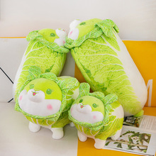 蔬菜精靈白菜兔子毛絨公仔可愛綠兔子玩偶抱枕午睡枕沙發腰靠批發