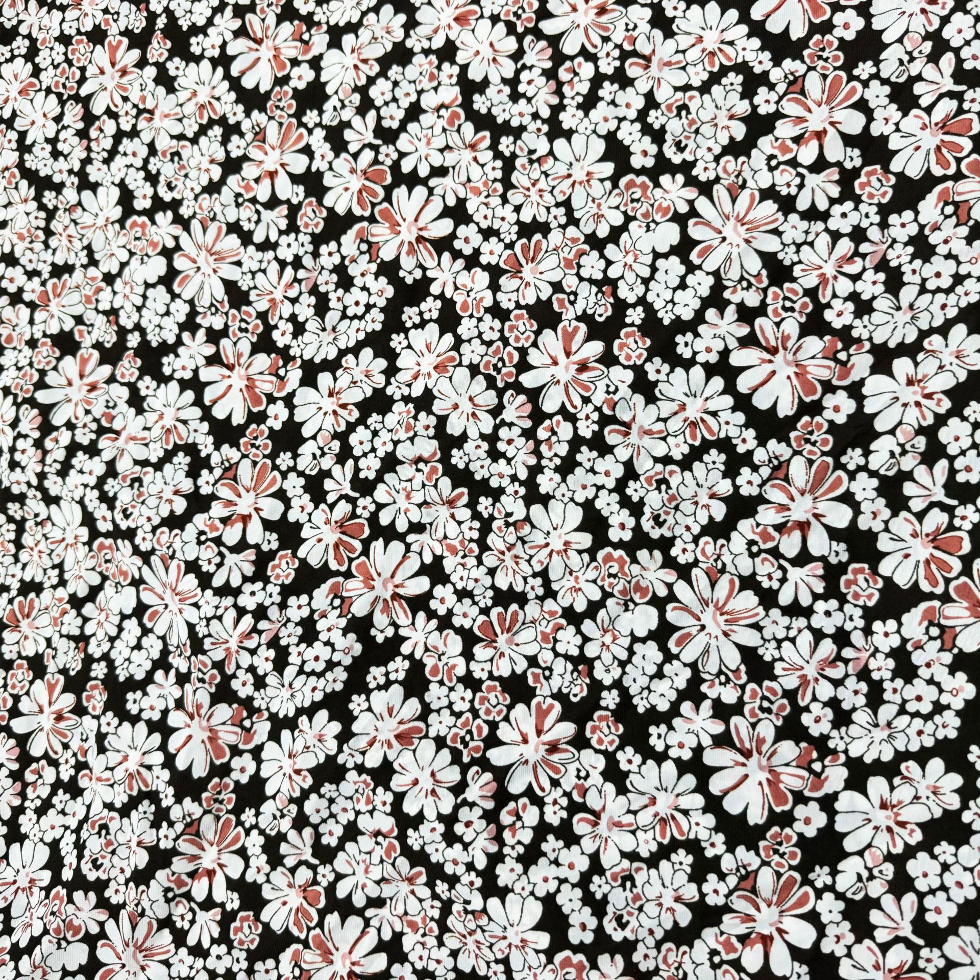 微信图片_20241010171108