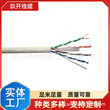 CAT5E/CAT6 �����/��W�� ����FTP 4*2*24AWG PVC�o�� /4PRS