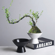 批发简约陶瓷花盆高级感创意不规则绿萝植物盆苔藓球专用水培花盆