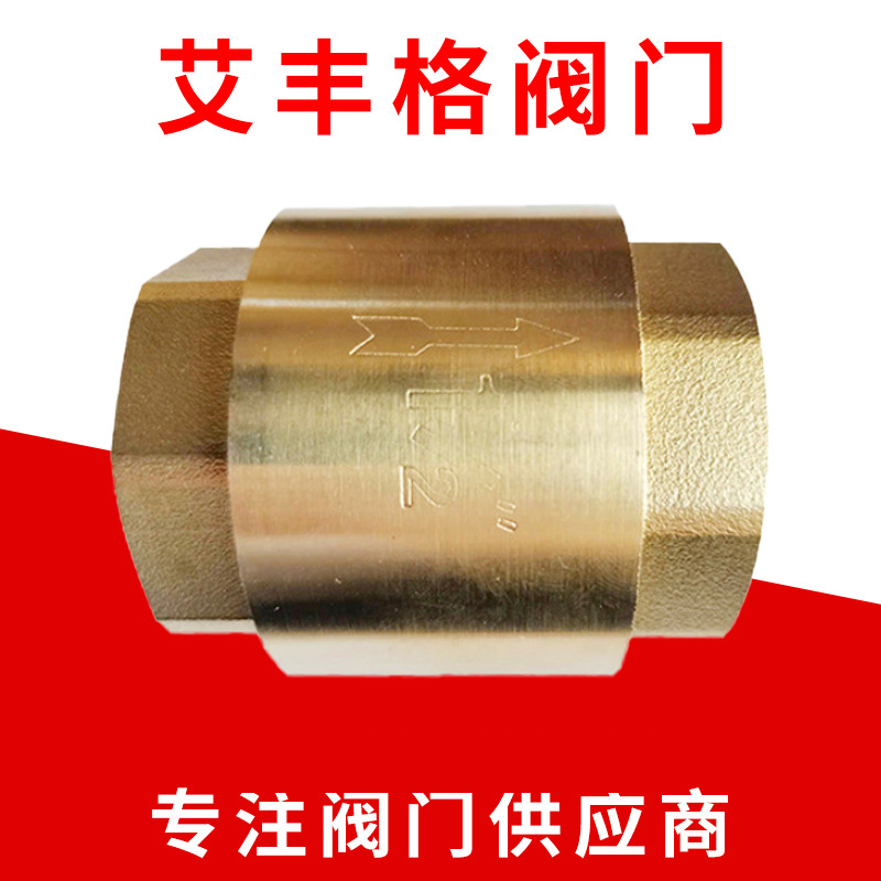 厂家供应立式铜止回阀弹簧式加厚自来水管道取水止逆单向阀门批发