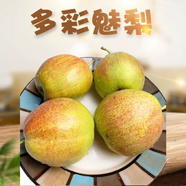 苹果;橙;其他水果