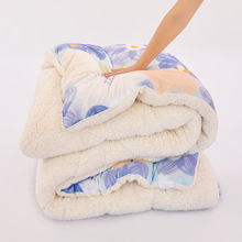 哇噢冬季加厚羊羔绒牛奶绒被芯AB面保暖被子宿舍家用羽丝绒棉被