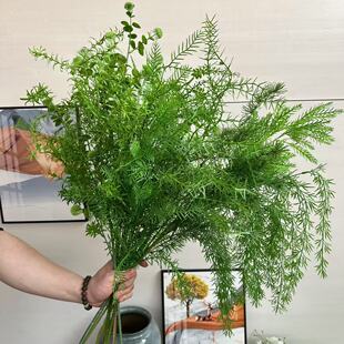 2025�¿����Gֲ�J�������T����Y���þGɫ�ٻ��쾰�zӰɭϵ�Gֲ