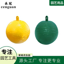 �������ó������ղ�����Ӭ��Ӭ���ղ�������ʵӬ��ɫ��ɫճ����