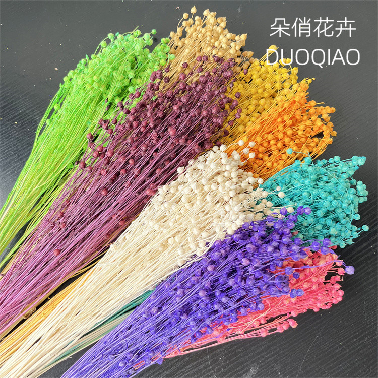 永生花相思豆富貴豆亞麻果胡麻豆雲南廠家直銷花材幹花束家居裝飾