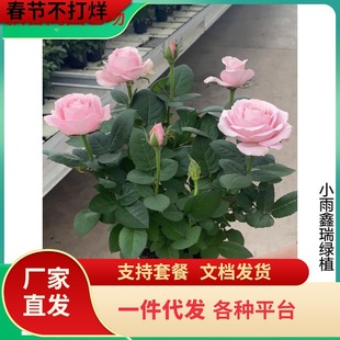 һ�����lõ�廨���ش󻨎��������ܾGֲ�������¼��Nޱ�҃���ͥԺ