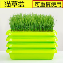 猫草 猫草品牌 图片 价格 猫草批发 阿里巴巴