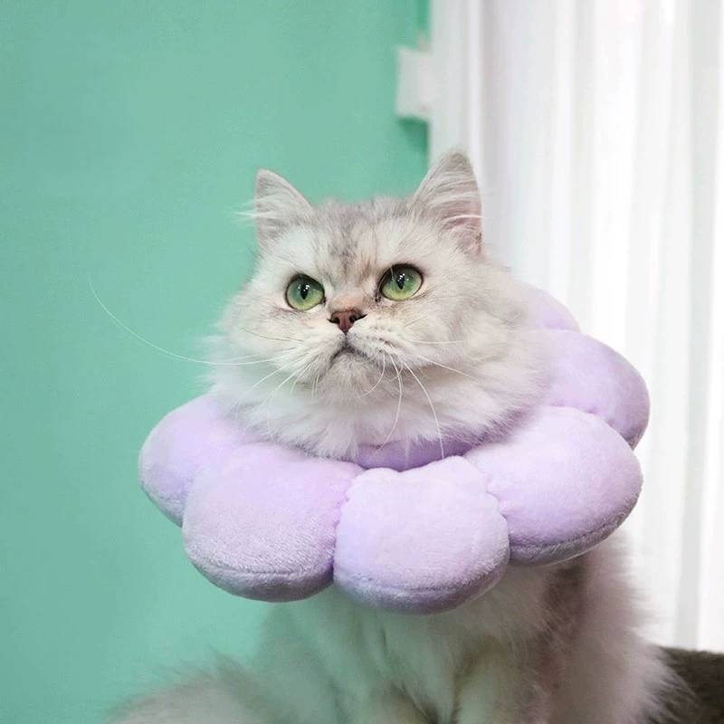 Ошейник для кошек Amazon, трансграничный, с подсолнухами, элизабетанский ошейник, антилизание, головной убор