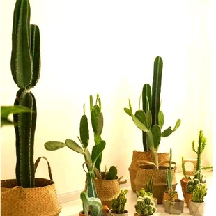 ��������������Դ��Ϳ͏d���B�����{�����W�L�҃�ֲ���������ͺ�