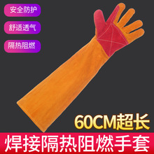 늺׼L60cm͸ߜpӸC𾀺ĥڱ