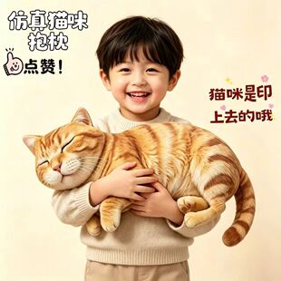 �羳���泬��؈��ɐ����̈́���Ҿ���ż��˯С؈��ë�q����ͶY��
