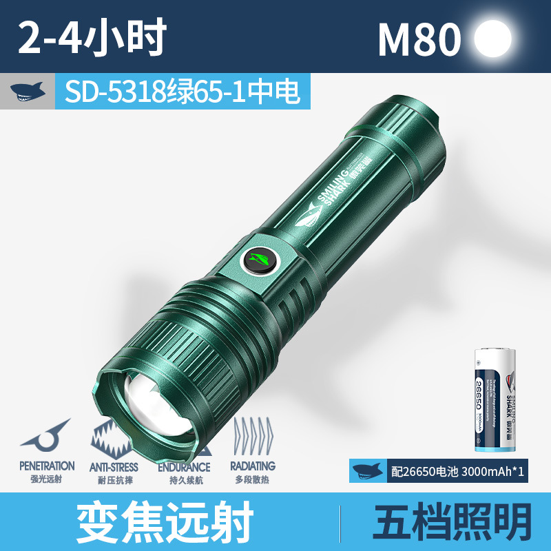 SD-5318 그린 65-1 중국전력 [3000MAH]
