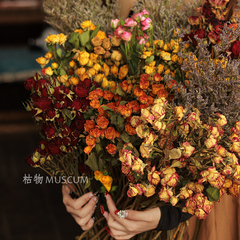 乾花花束多頭玫瑰風乾真花畢業拍照復古客廳裝飾擺件天然家居擺榕