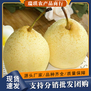 ���殔�����rˮ���w�����摪��ˮ�������r�۶�֭����5����]�ӱ�