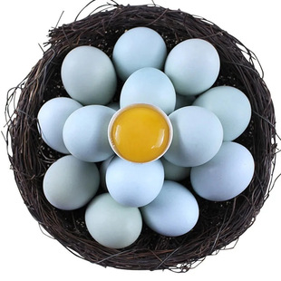 ɽ�|�G�����u��ɢ�B�G���u�����]�a��ֱ�lɢ�B�G���u��һ�����l