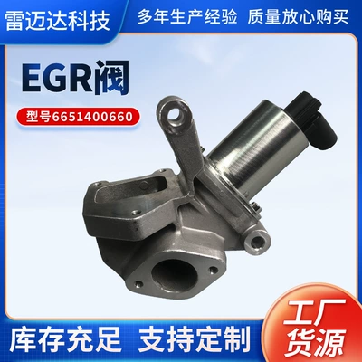 6651400660 EGR Klapanı Ssangyong Actyon, Rexton, Korando üçün Remida