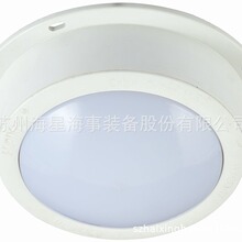 工厂批发  救生艇舱顶灯HXCD-12V救生筏吸顶式舱顶灯