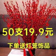 银柳红色柳条真花干花鲜植年宵花客厅摆放花室内装饰