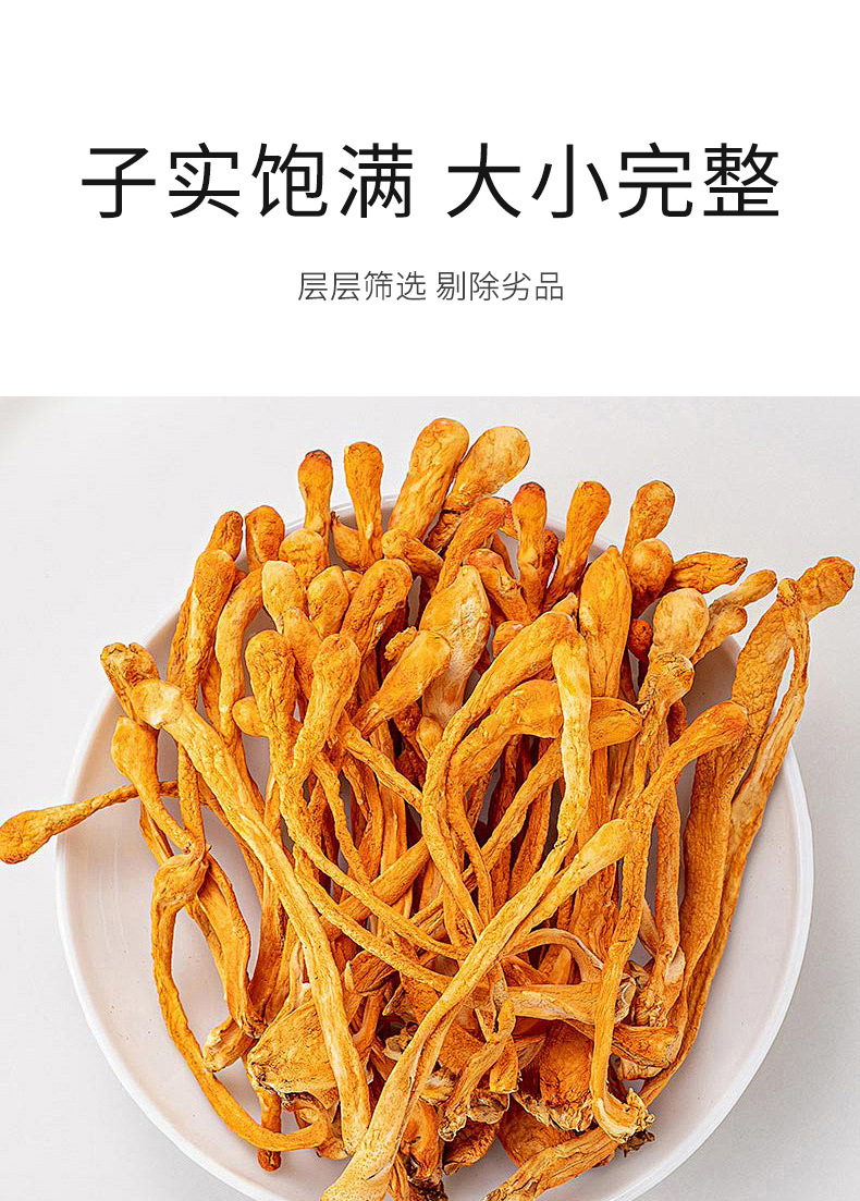 Dried Cordyceps Flower Sporocarp for Soup Premium Selected 150g quality and texture