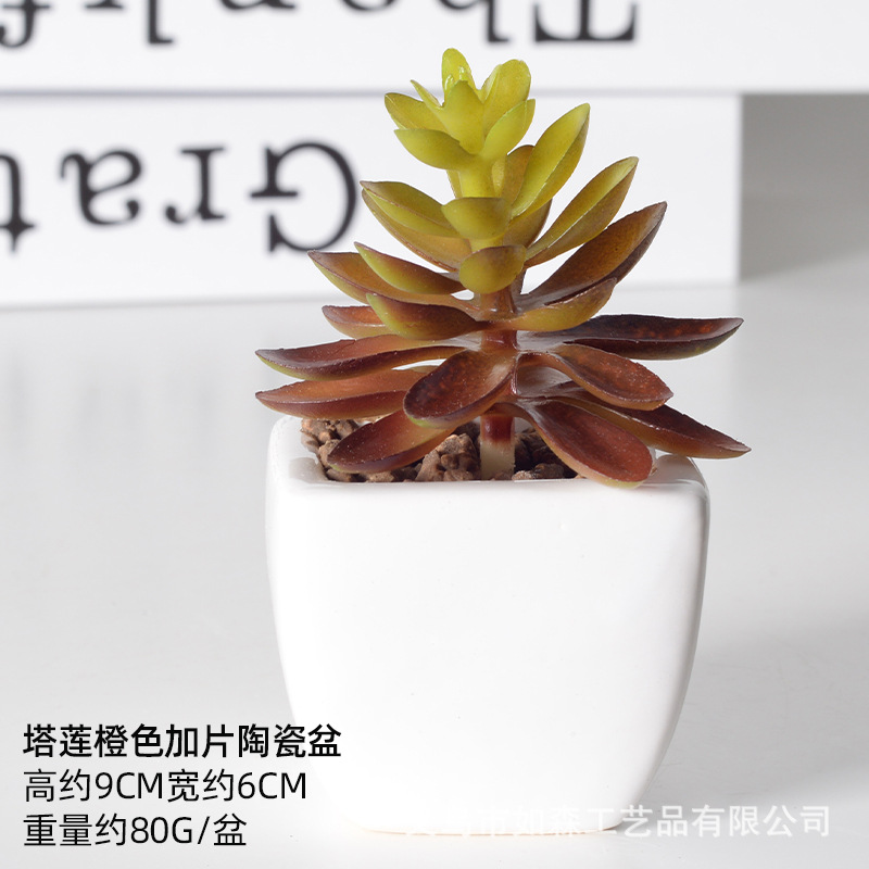 Simulación de cerámica bonsai de carne doméstica decoración de escritorio de oficina plantación verde maceta props de disparo maceta combinada artificial image 30