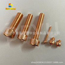 M8 M10 M12 ���~T2�����ǈA�^��˨�ݽz�o�̼� ������˨