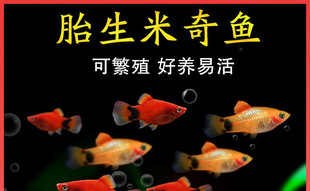 ̥�������~�������~С�~���^�p�~С�͵�ˮ���B�t��Ƥ���~��ĸ�R�a