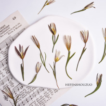 �p�~�ٺϸɻ�������YՈ��diy��ڻ�Ұ�ٺ��滨ins���z�ֹ�����