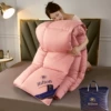 Doudan-[Quality Inspection] Hotel Model
