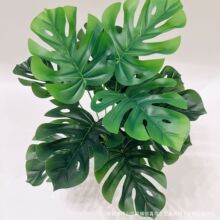 �S��ֱ�N����Gֲ�ٻ���d�����b[�����滨�������ø߼��б���