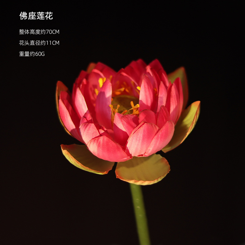 El Lotus-1
