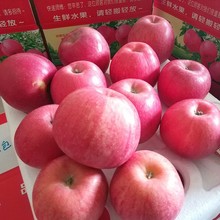 ӡ崨tʿ  l5/8YБtOrˮ