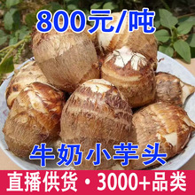 ���ë���^ţ��С���^�F����ܵ�������l