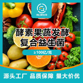 酵素果蔬发酵菌歧杆菌冻干粉乳酸菌活菌型益生菌源头厂家直供现货