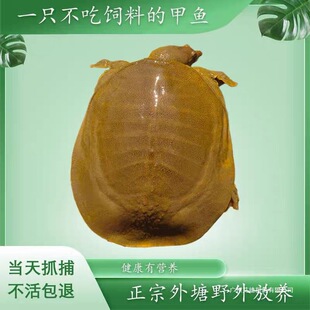 ���S��Ұ�����~���w����ˮ�~�F�~�M���A�M����wʳ�ú��r�r����]