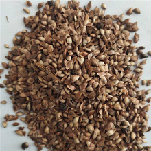 ���|��ľ�N���~�ɷN���ձ����~�ɷN���S���ɷN�ļ��L�G��N��