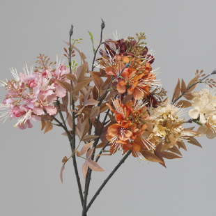 �羳���l���滨�ٻ��Ӱ巿�b�ˇ�Ӽҿ͏d�[�O����P�P�˻�����