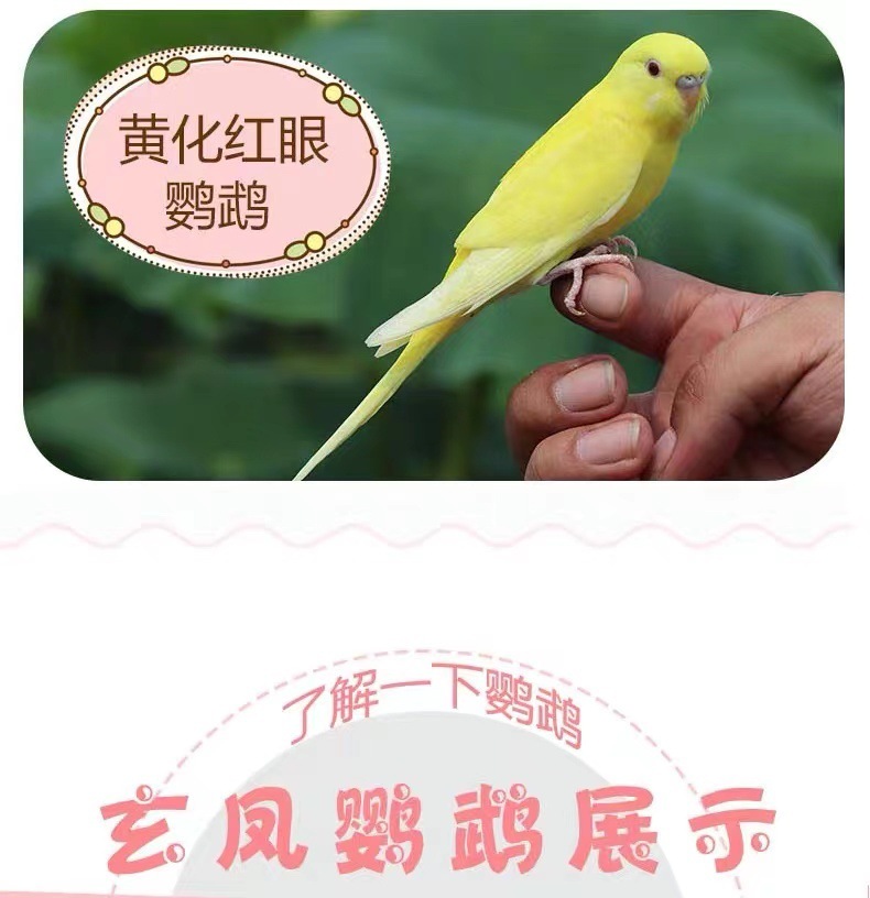 ce345495-00c6-43ff-b2a7-4f7d359b575c.jpe