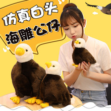 �����B����أ���d�����^���������^����ë�q��߹��б��탺ͯ�Y��