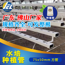 pvcˮ��ܷ��β۷Nֲ�ܵ��o�������ɫ���Ϲ܏S�����l���75/50