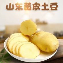 �a��ֱ�l���r�߲������д�� ɽ�|�SƤ���� ����϶�ʩ�R������^