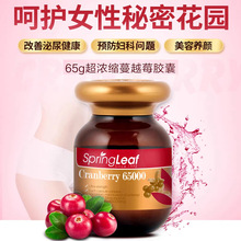 ���� SpringLeaf�GܽŮ��˽̎����65000mg�ߝ����Խݮ�z��30��