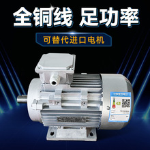 供应台湾力邦1.5KW铝壳电机三相铝壳电机电动机马达电机