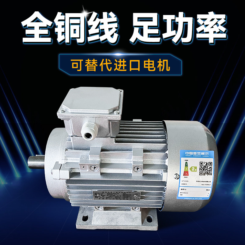 台湾力邦3KW陶瓷机械电机 抛光机械电机 铝壳电机电动机