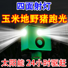 ��s����̫�����B���׵��F����ҹ�g�sҰ�i�L�m��������������