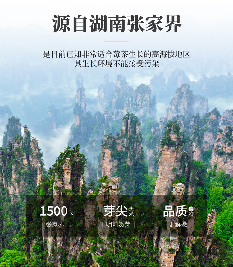 Wild Mei Tea Zhangjiajie Premium Wild Vine Tea 500g Pre-Qingming Purple Gold Bud Tips Hot Brew Herbal Tea overview