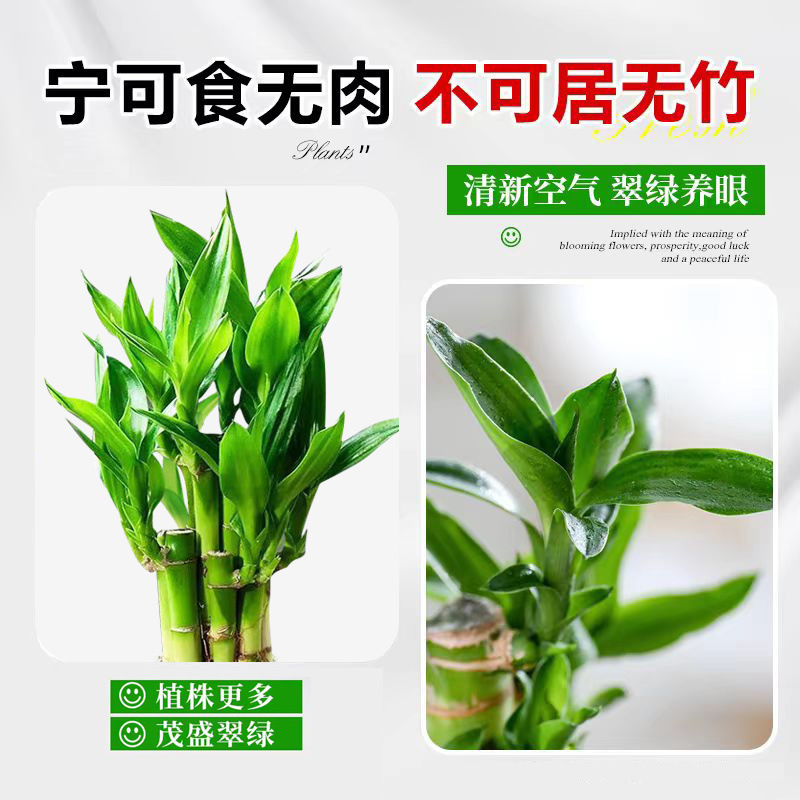 7011b758-fc93-4dcc-ae90-a08d675ff595.jpe